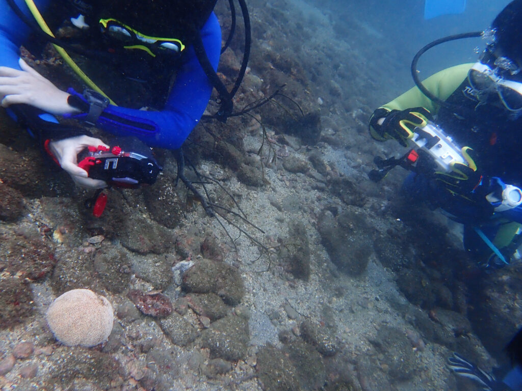 土肥ダイビング　通り崎