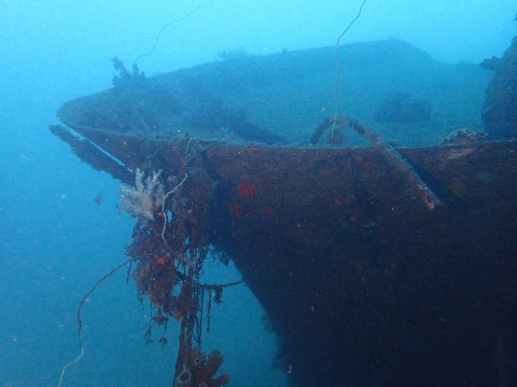 土肥ダイビング　通り崎沈船