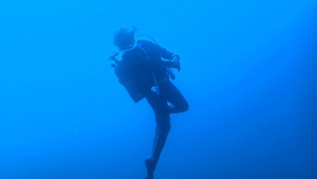 田子ダイビング　フトネ　本日のお客様