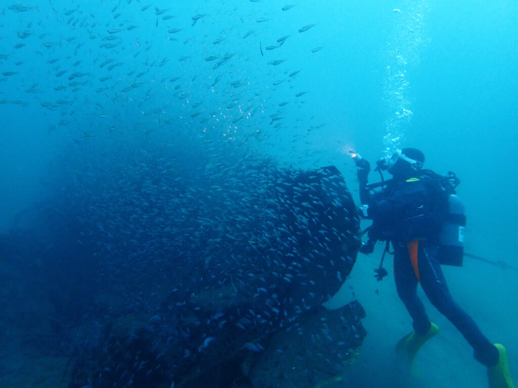 土肥ダイビング 通り崎沈船