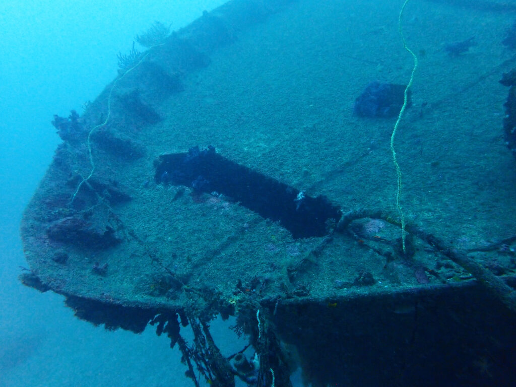 土肥ダイビング 通り崎沈船