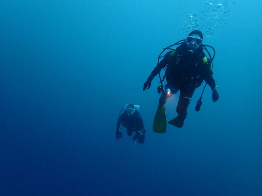 土肥ダイビング　小下田　とび島沖