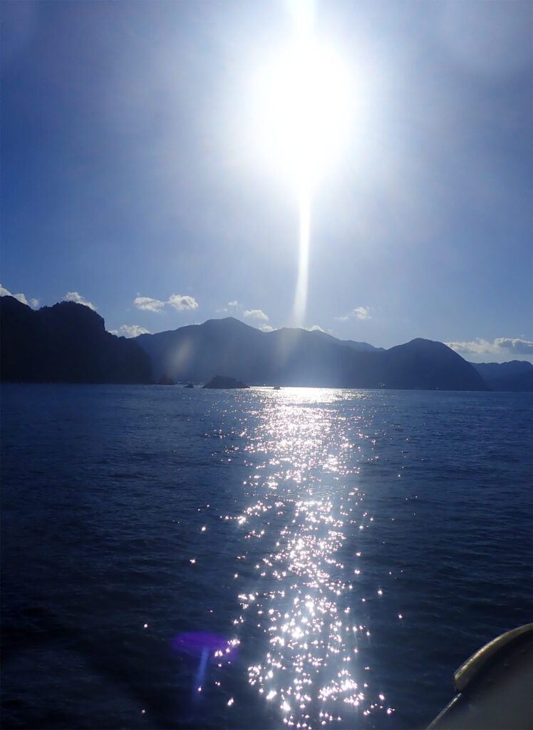 土肥ダイビング　小下田　とび島
