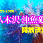 土肥ダイビング　八木沢沖魚礁　開放決定