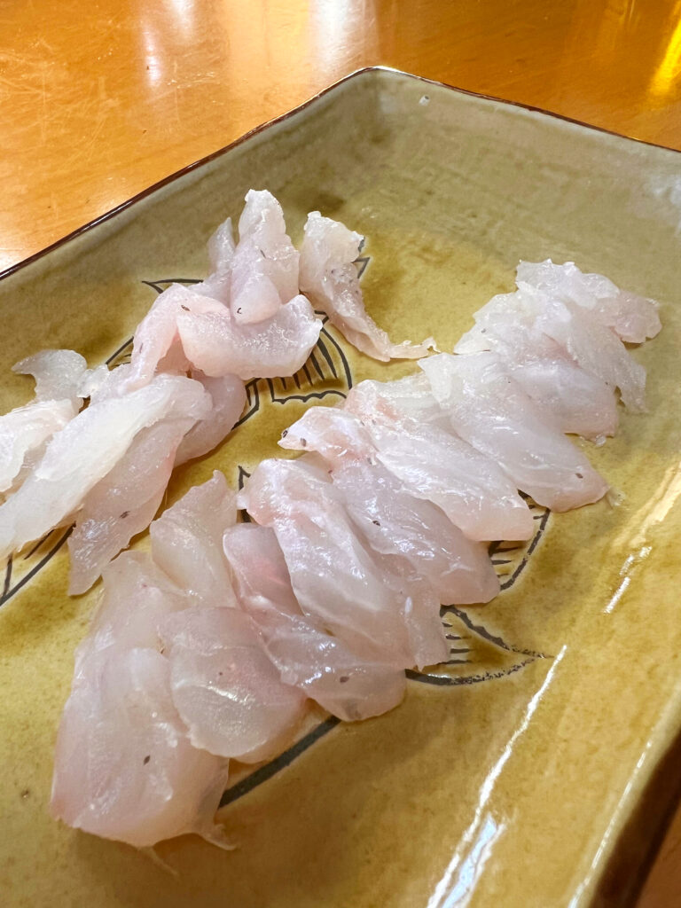 駿河湾の恵み オオモンハタ