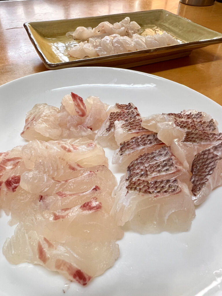 駿河湾の恵み 真鯛