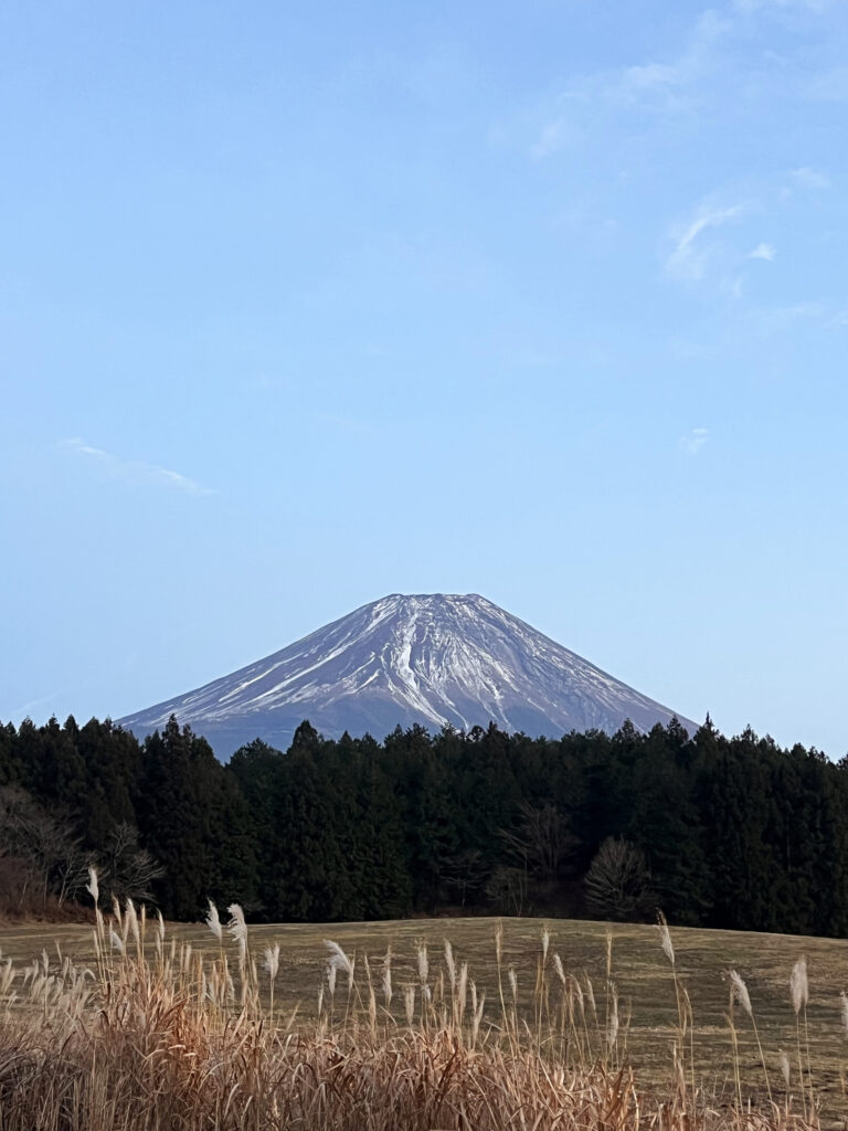 道の駅朝霧高原 富士山