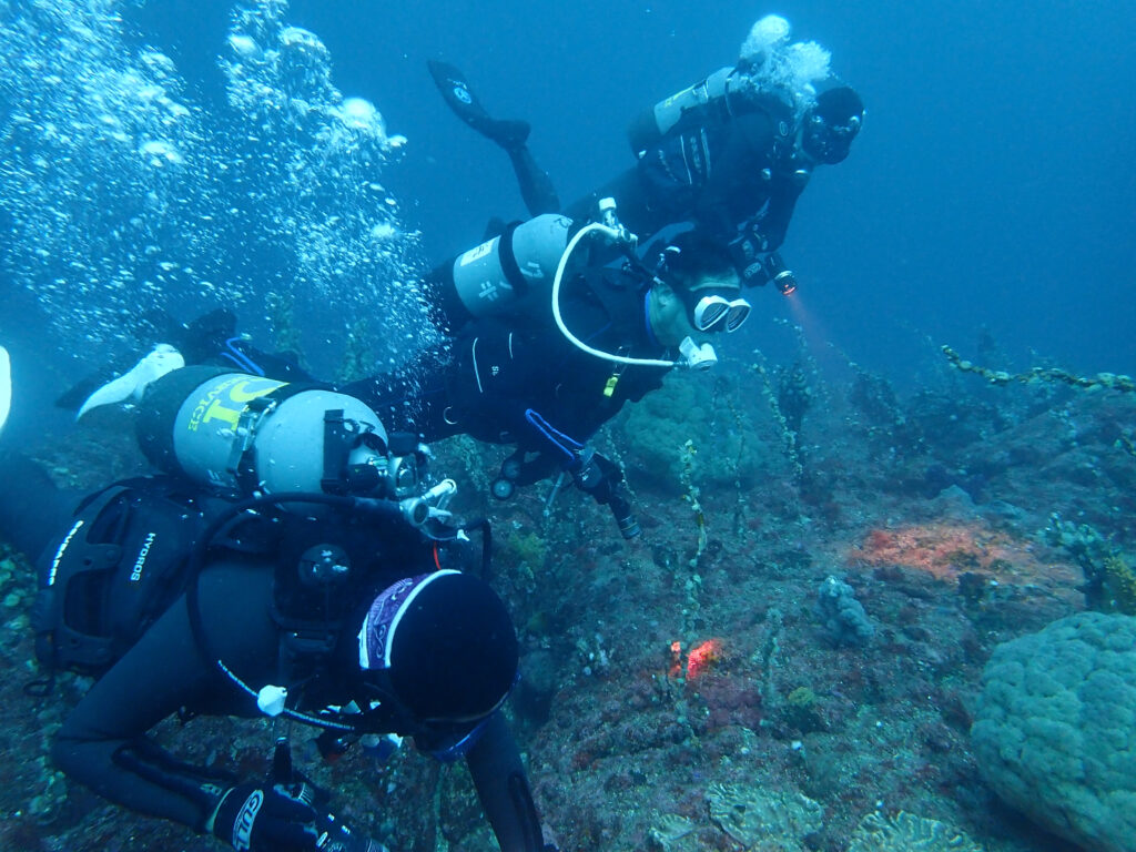 土肥ダイビング 小下田 サク根
