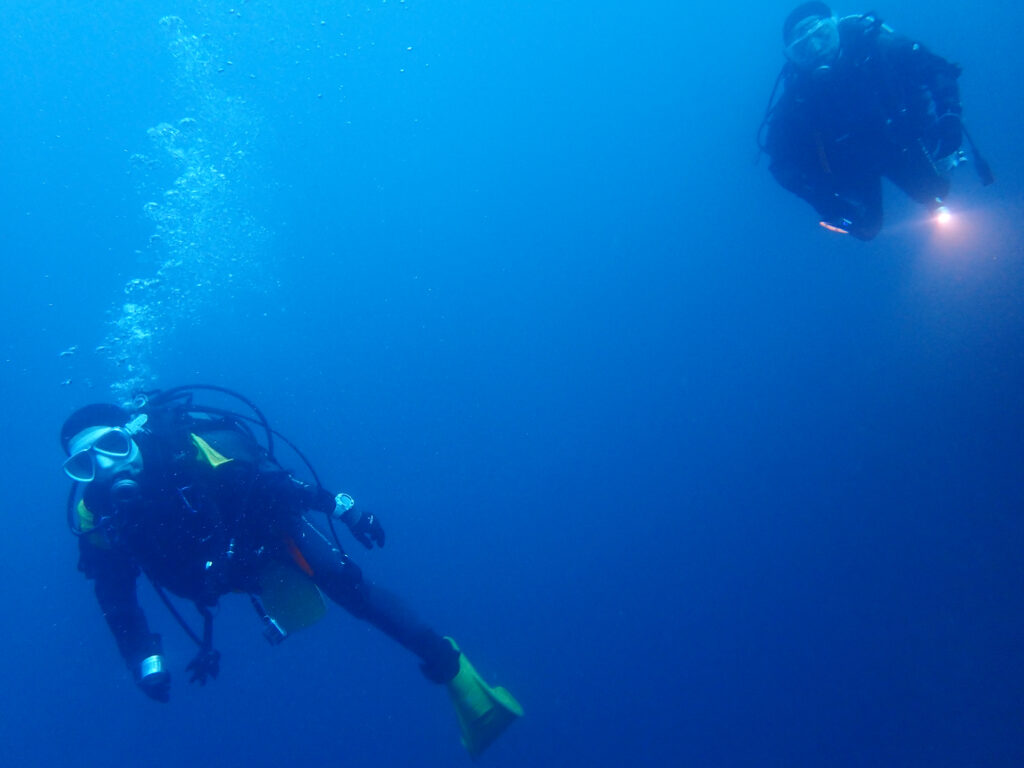土肥ダイビング 小下田 とび島沖 サク根
