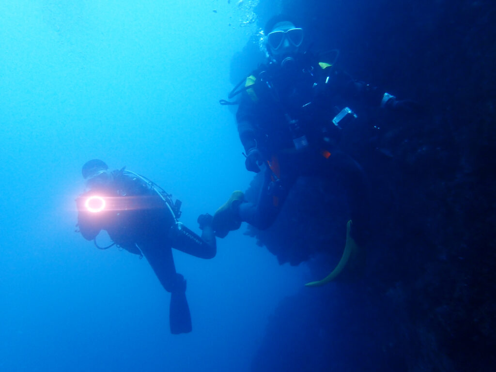 土肥ダイビング 小下田 とび島沖