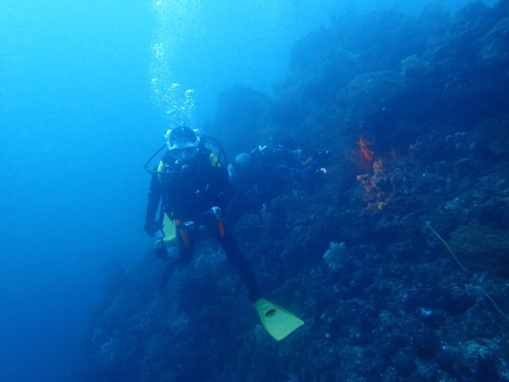 土肥ダイビング 小下田 とび島沖