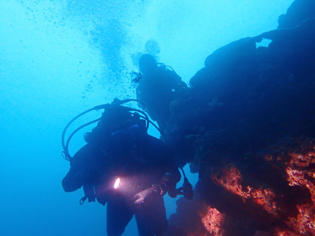 土肥ダイビング 小下田 とび島沖