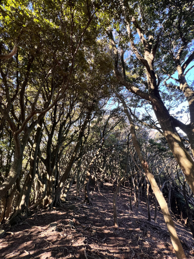 小下田　浅間山