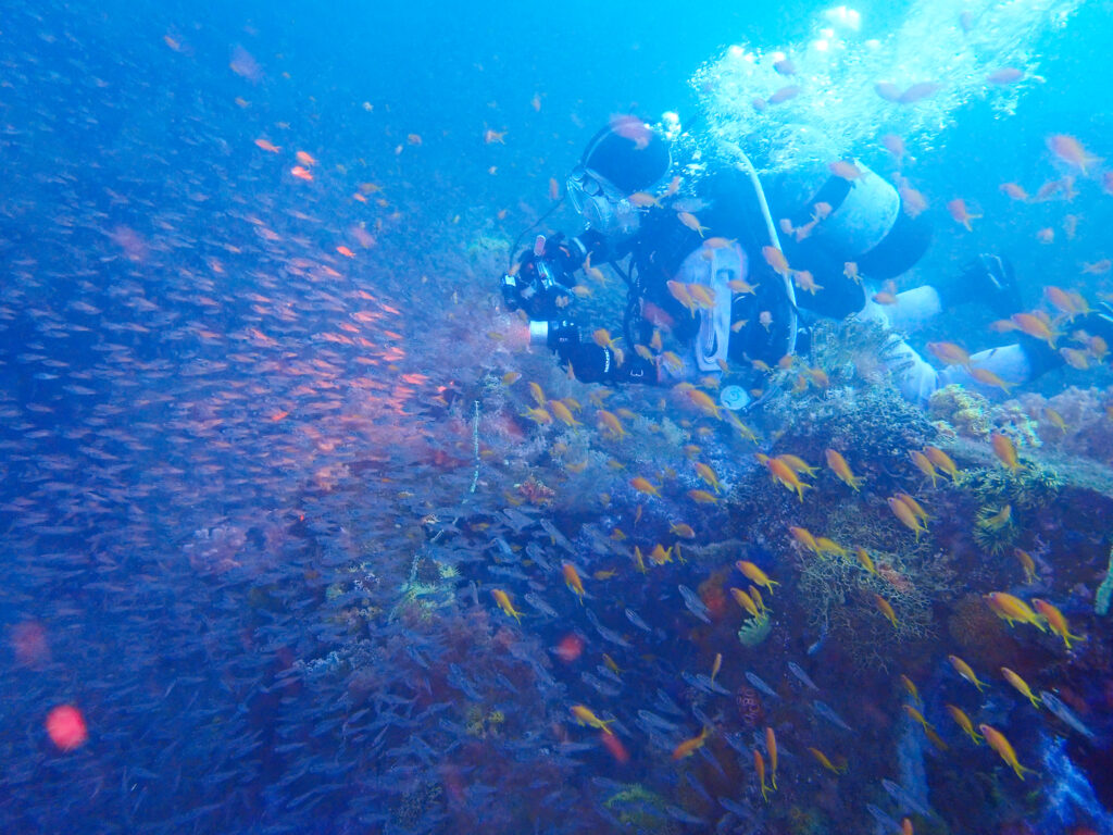 土肥ダイビング　八木沢沖魚礁　