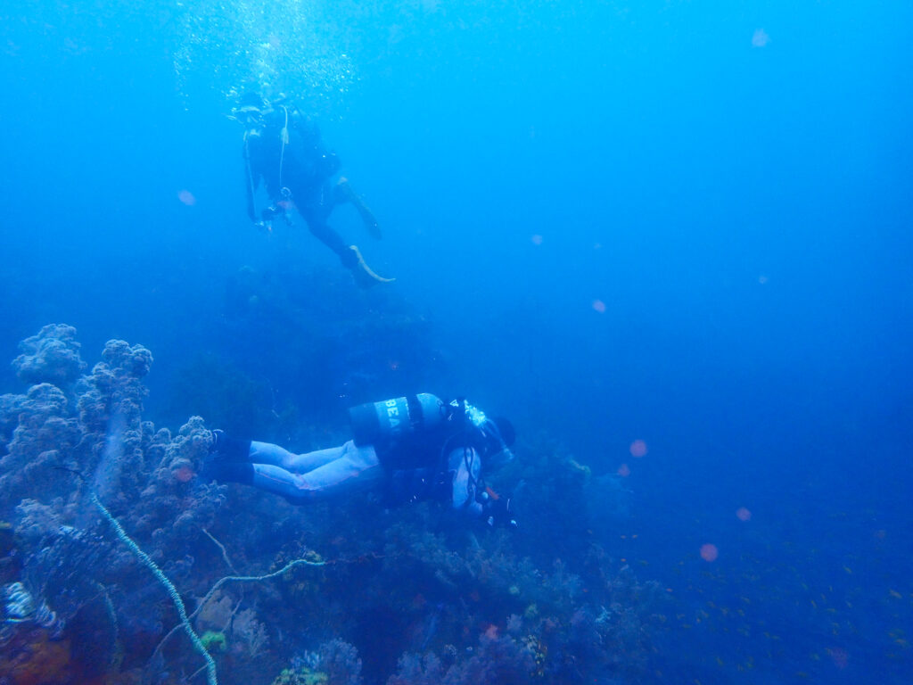 土肥ダイビング　八木沢沖魚礁　