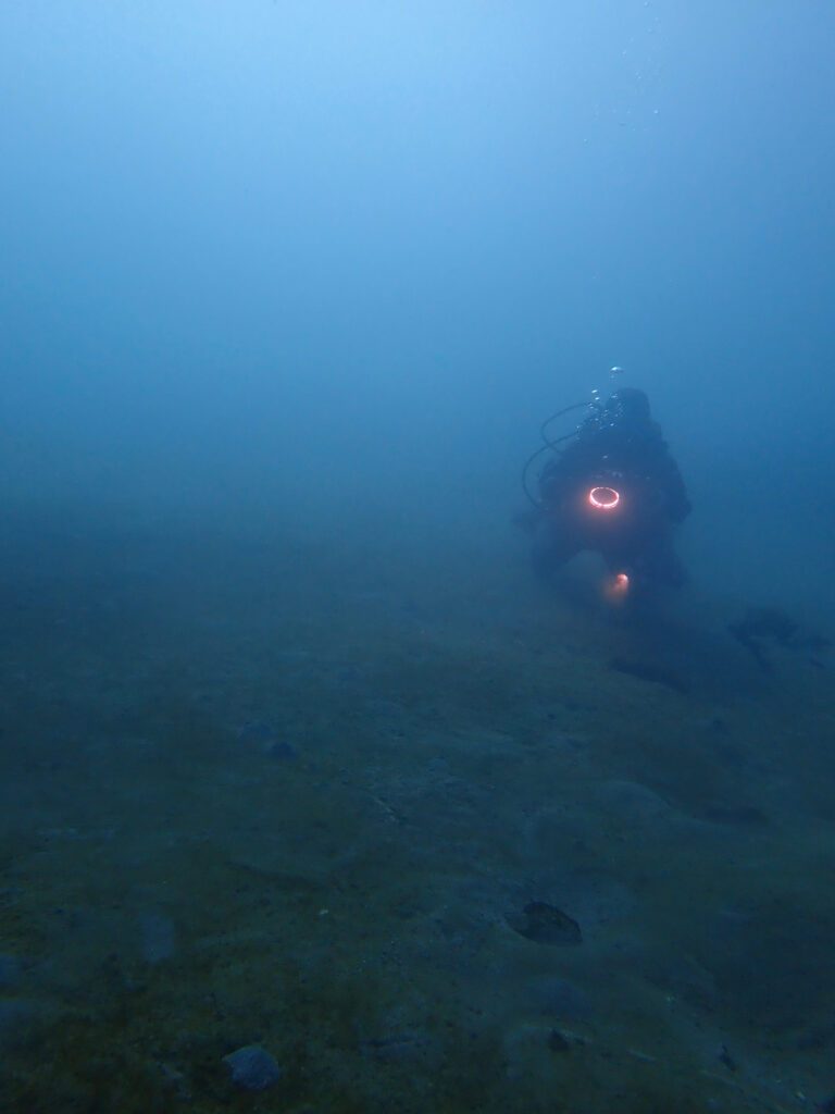 土肥ダイビング　通り崎　通り崎ビーチ