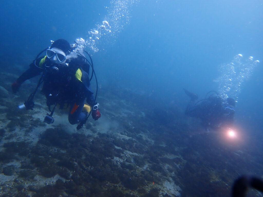 土肥ダイビング　通り崎　通り崎ビーチ