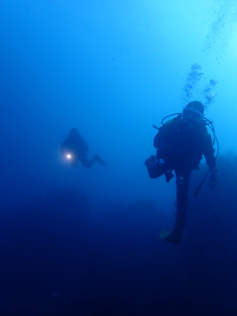 土肥ダイビング　通り崎お花畑　