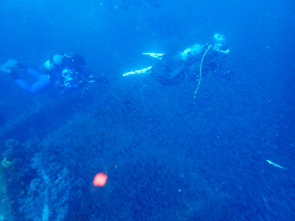 土肥ダイビング　八木沢沖魚礁