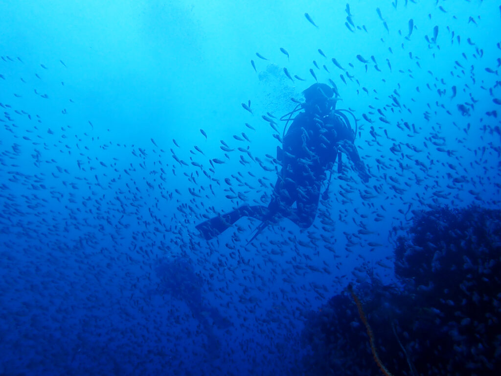 土肥ダイビング　八木沢沖魚礁