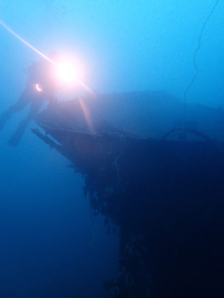 土肥ダイビング　通り崎沈船　大型沈船