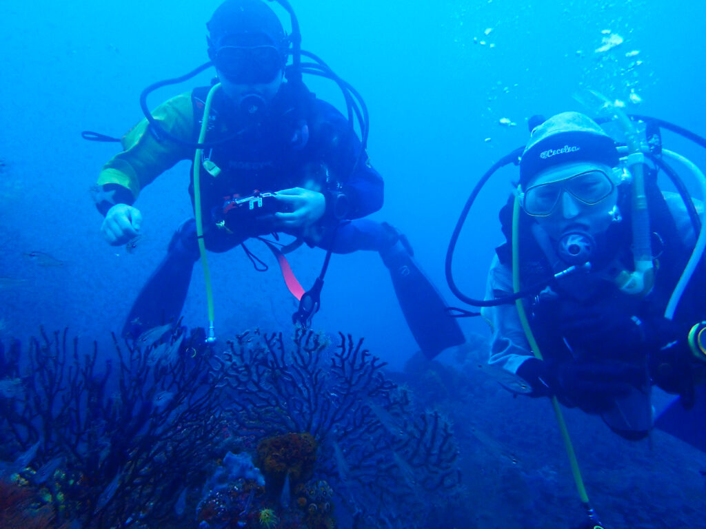 土肥ダイビング　八木沢沖魚礁　本日のお客様