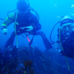 土肥ダイビング　八木沢沖魚礁　本日のお客様