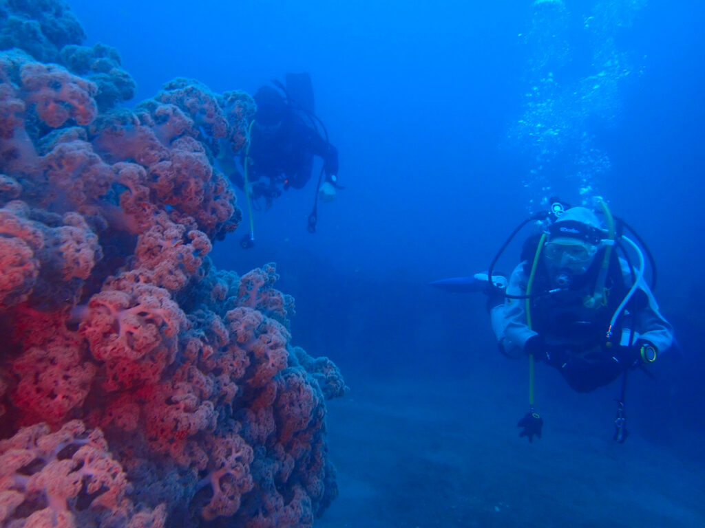 土肥ダイビング　八木沢沖魚礁　本日のお客様