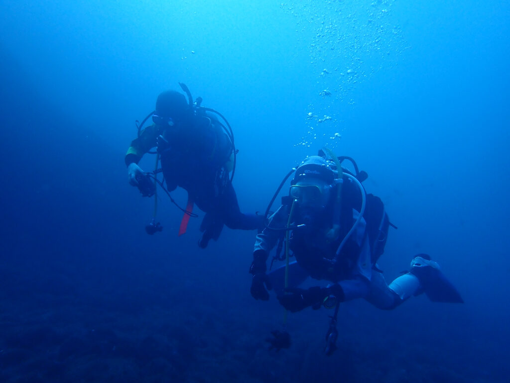 雲見ダイビング　本日のお客様