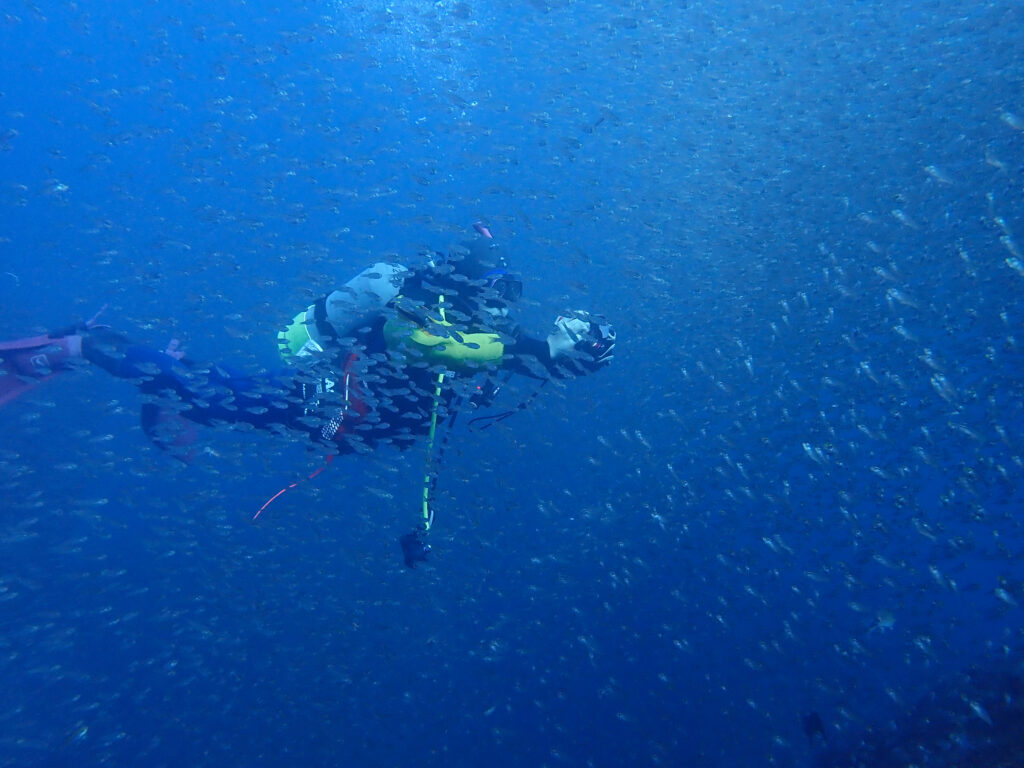 雲見ダイビング　大牛の洞窟