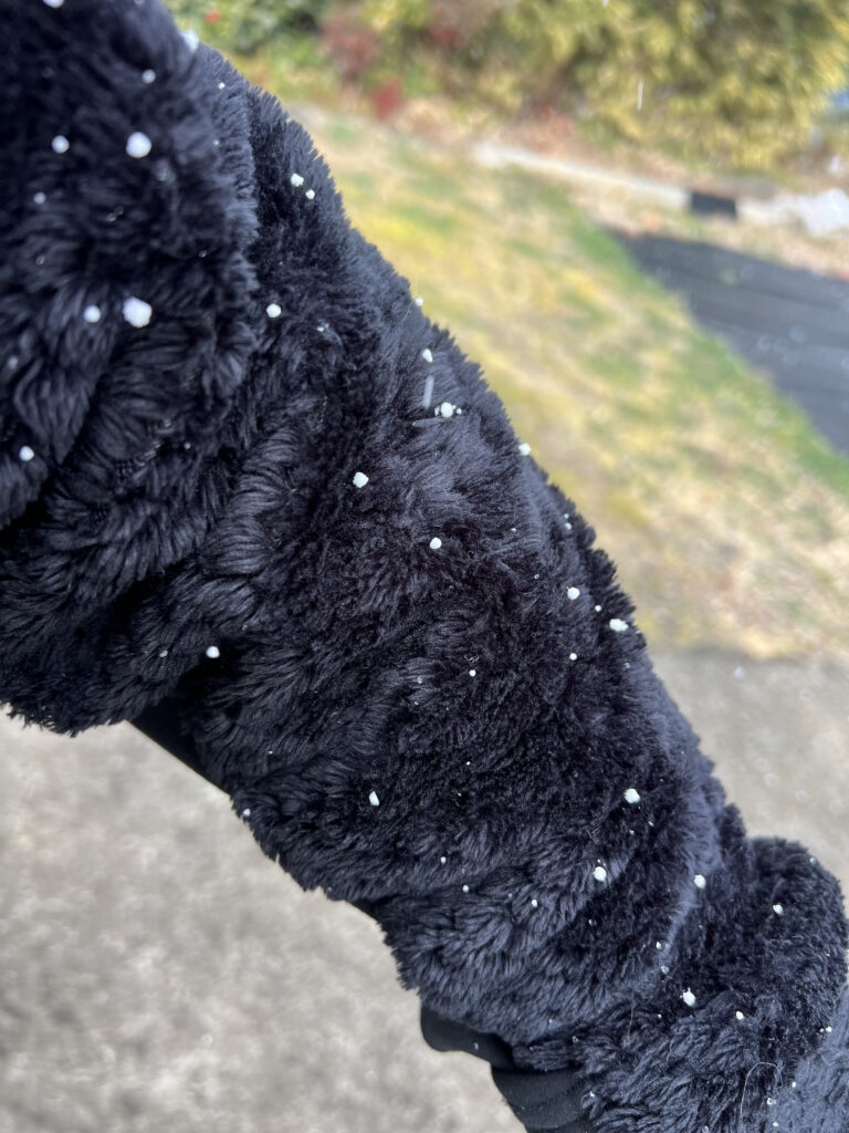 伊豆市八木沢　雪降り