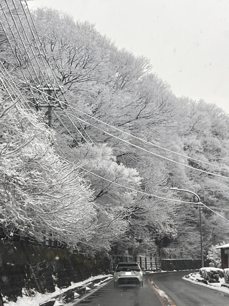 伊豆市修善寺　
雪降り