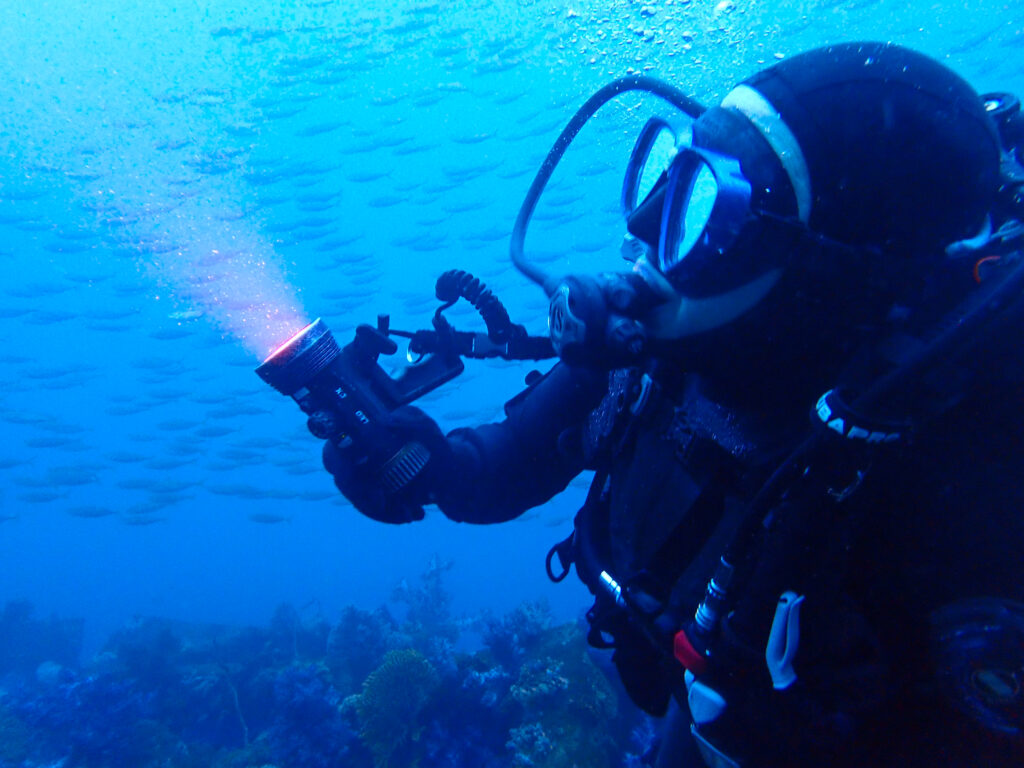 土肥ダイビング　八木沢沖魚礁
