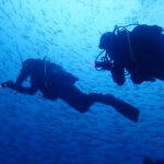 土肥ダイビング　八木沢沖魚礁