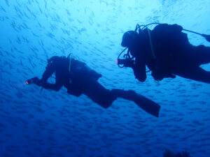 土肥ダイビング　八木沢沖魚礁