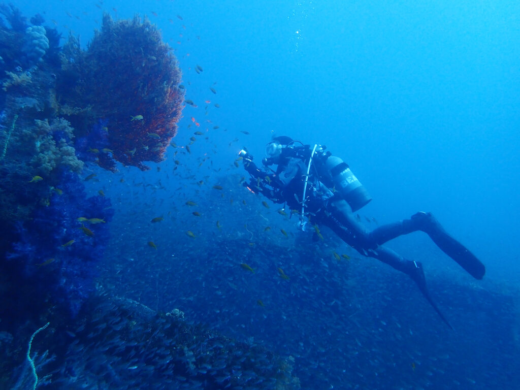 土肥ダイビング　八木沢沖魚礁　