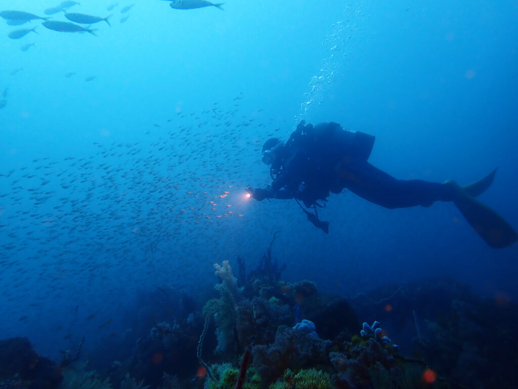 土肥ダイビング　八木沢沖魚礁