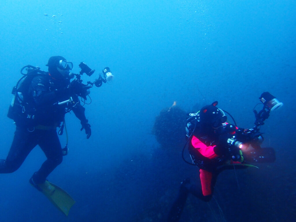 土肥ダイビング 八木沢沖魚礁