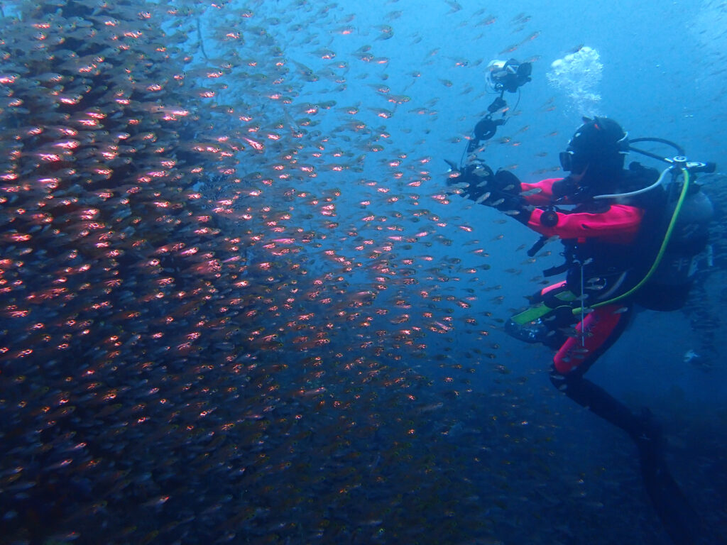 土肥ダイビング 八木沢沖魚礁