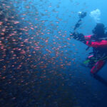 土肥ダイビング　八木沢沖魚礁