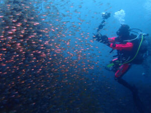 土肥ダイビング 八木沢沖魚礁