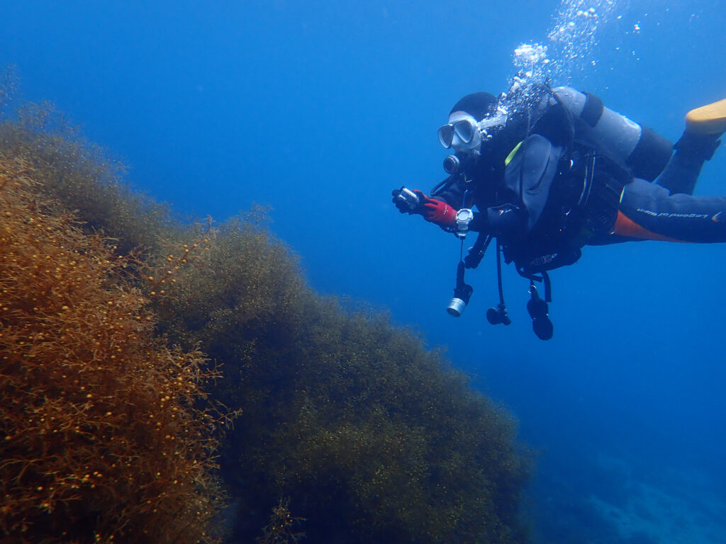 土肥ダイビング 通り崎ビーチ