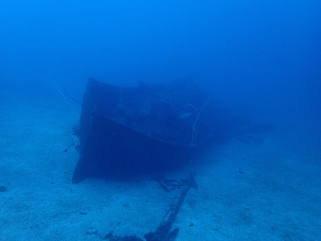 土肥ダイビング 通り崎沈船