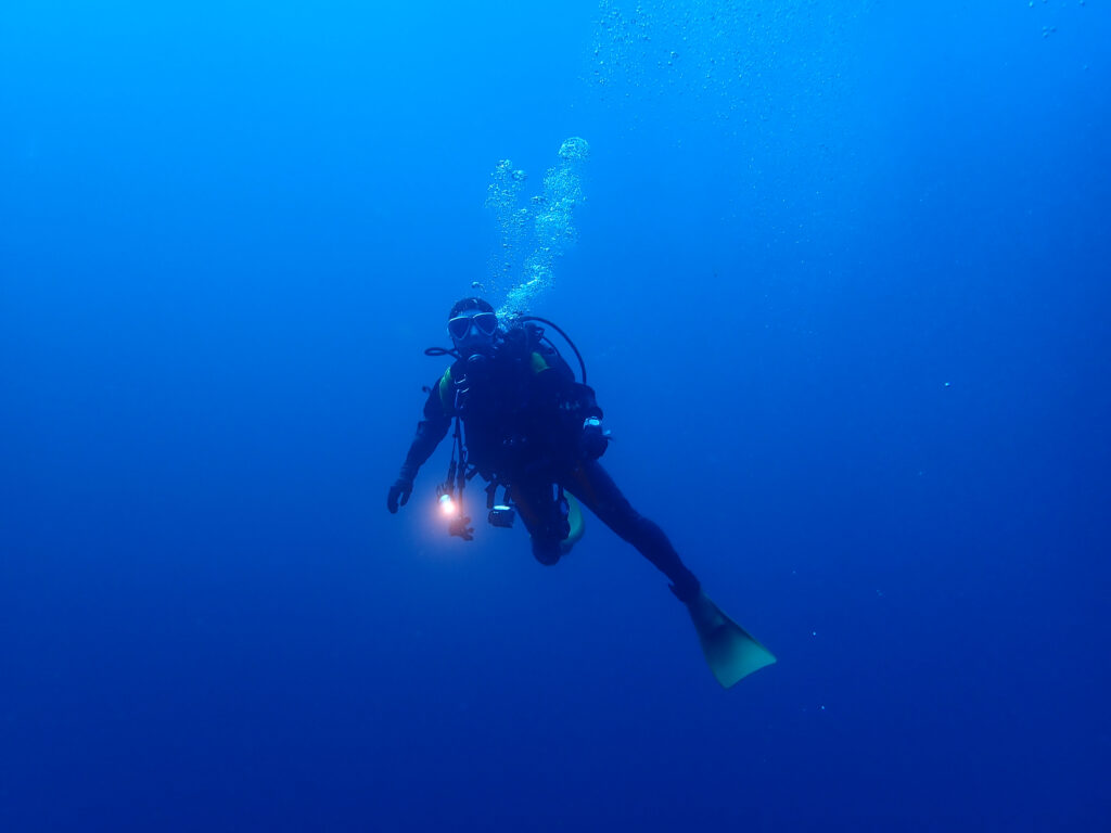 田子ダイビング　フトネ