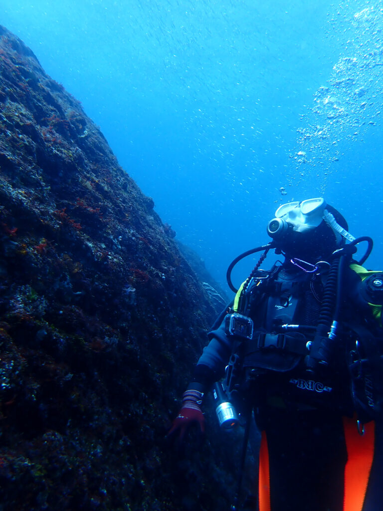 雲見ダイビング 本日のお客様