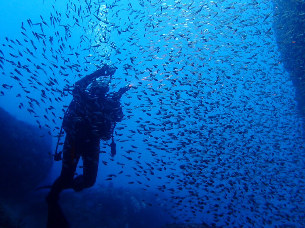雲見ダイビング 牛着岩