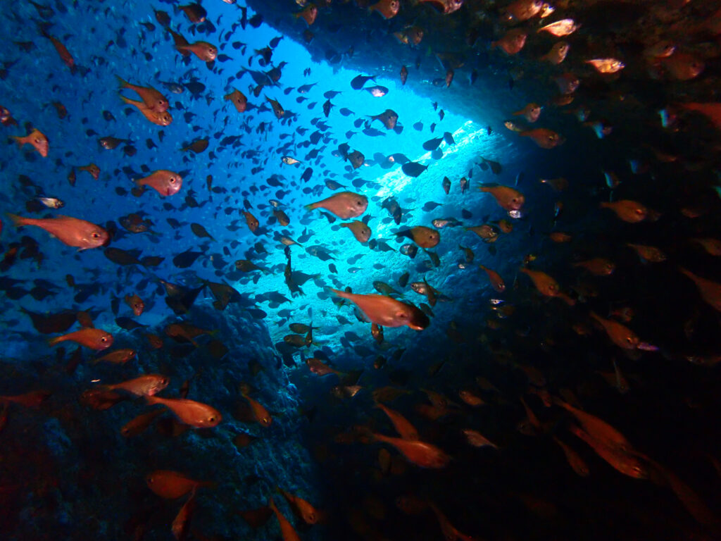 雲見ダイビング 牛着岩