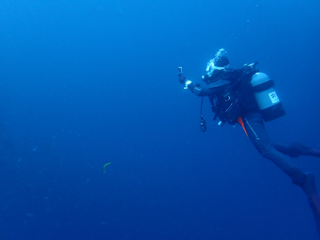 土肥ダイビング　小下田　とび島沖　
