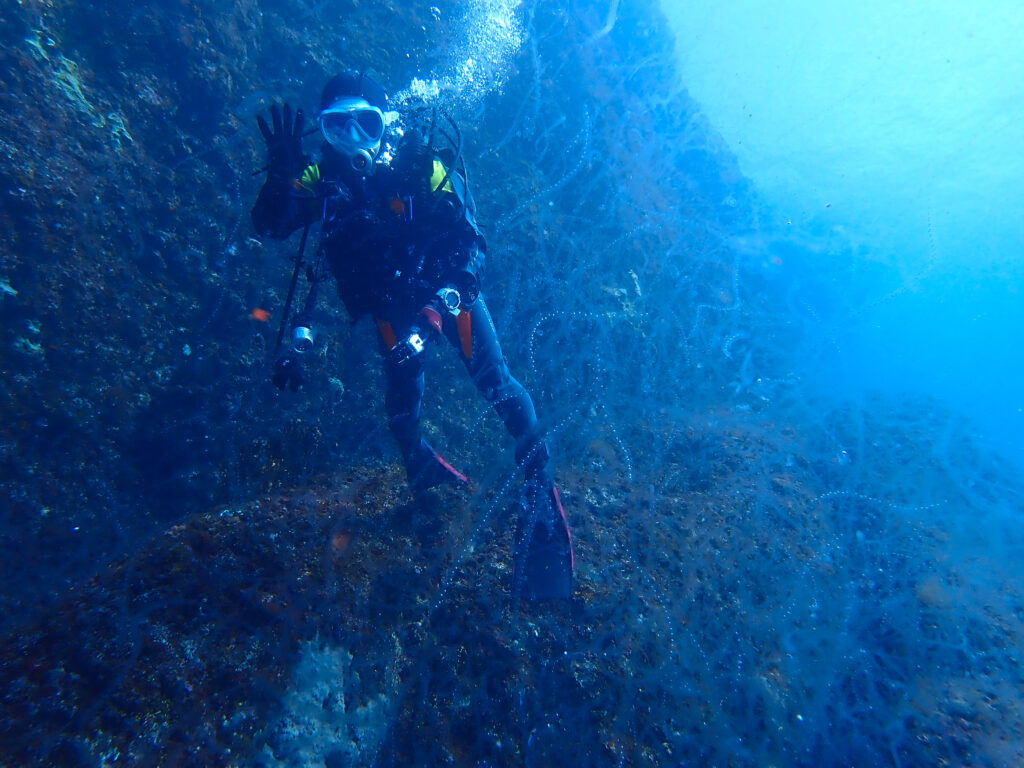 土肥ダイビング　小下田　とび島沖　サルパ類