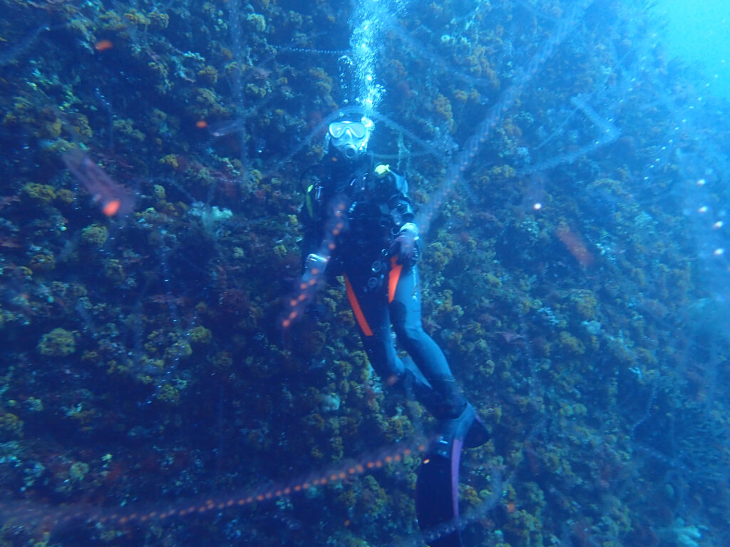 土肥ダイビング 小下田 サク根